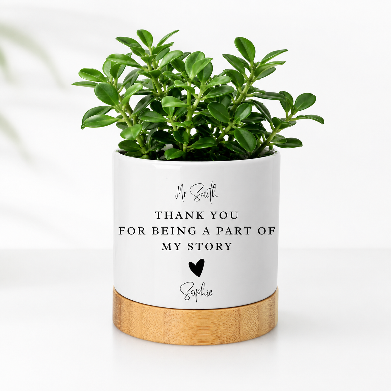Personalised Teacher Plant Pot Gift | Thank You Teacher Planter | Custom Teacher Appreciation Pot | End of Term Teacher Gift